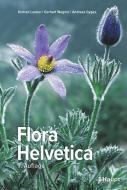 Flora Helvetica - Illustrierte Flora der Schweiz di Konrad Lauber, Gerhart Wagner, Andreas Gygax edito da Haupt Verlag AG