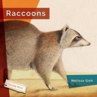 Raccoons di Melissa Gish edito da CREATIVE ED & PAPERBACKS