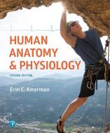 Human Anatomy & Physiology di Erin C. Amerman edito da Pearson Education (US)