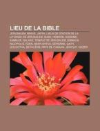 Lieu De La Bible: J Rusalem, Ninive, Jaf di Livres Groupe edito da Books LLC, Wiki Series