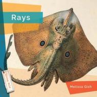Rays di Melissa Gish edito da CREATIVE ED & PAPERBACKS