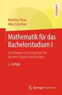 Mathematik für das Bachelorstudium I di Matthias Plaue, Mike Scherfner edito da Springer-Verlag GmbH