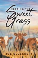 MEETING THE SWEET GRASS di Joe Glueckert edito da Christian Faith Publishing, Inc