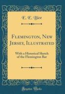 Flemington, New Jersey, Illustrated: With a Historical Sketch of the Flemington Bar (Classic Reprint) di E. E. Bice edito da Forgotten Books