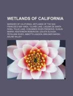 Wetlands Of California: Tulare Lake, Cos di Books Llc edito da Books LLC, Wiki Series