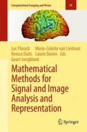 Mathematical Methods for Signal and Image Analysis and Representation edito da Springer London