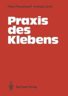 Praxis des Klebens di Andreas Groß, Petra Theuerkauff edito da Springer Berlin Heidelberg