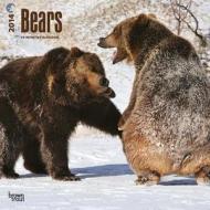 Bears Calendar edito da Browntrout Publishers