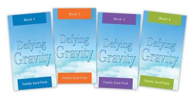 Defying Gravity Family Card Pack: 28 Days to the Life You Want di Tom Berlin edito da ABINGDON PR