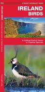 Ireland Birds di James Kavanagh edito da Waterford Press Ltd