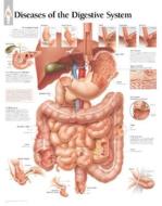 Diseases Of The Digestive System Paper Poster di Scientific Publishing edito da Scientific Publishing Limited