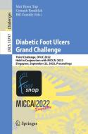 Diabetic Foot Ulcers Grand Challenge edito da Springer International Publishing