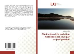 Elimination de la pollution métallique des eaux par co-précipitation di Hamida Saouli edito da Editions universitaires europeennes EUE