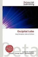 Occipital Lobe edito da Betascript Publishing