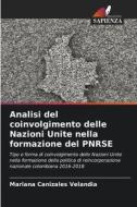 Analisi del coinvolgimento delle Nazioni Unite nella formazione del PNRSE di Mariana Canizales Velandia edito da Edizioni Sapienza