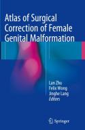 Atlas of Surgical Correction of Female Genital Malformation edito da SPRINGER NATURE