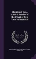 Minutes Of The ... Annual Session Of The Synod Of New York Volume 1919 edito da Palala Press