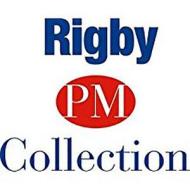 Rigby PM Plus: Single Copy Collection Turquoise (Levels 17-18) di Rigby edito da RIGBY