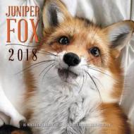 Juniper Fox 2018 di Jessika Coker edito da Rock Point