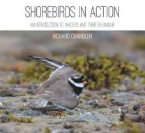 Shorebirds in Action di Richard Chandler edito da Whittles Publishing