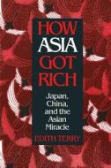 How Asia Got Rich: Japan, China and the Asian Miracle di Edith Terry edito da Taylor & Francis Ltd