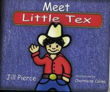 Meet Little Tex di Jill Pierce edito da Gulf Publishing Co