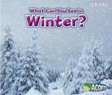 What Can You See in Winter? di Sian Smith edito da CAPSTONE PR