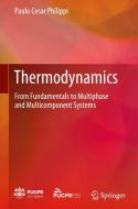 Thermodynamics di Paulo Cesar Philippi edito da Springer Nature Switzerland
