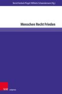 Perspektiven der Friedens- und Menschenrechtspädagogik edito da V & R Unipress GmbH