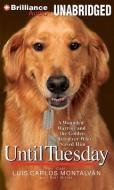 Until Tuesday: A Wounded Warrior and the Golden Retriever Who Saved Him di Luis Carlos Montalvan, Bret Witter edito da Brilliance Audio