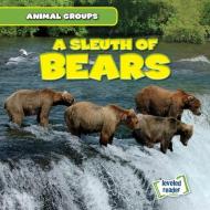 A Sleuth of Bears di Seth Lynch edito da GARETH STEVENS INC