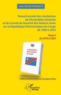 Recueil annoté des résolutions de l¿Assemblée Générale et du Conseil de Sécurité des Nations Unies sur la République Démocratique du Congo de 1960 à 2 di Julien Paluku Kahongya edito da Editions L'Harmattan