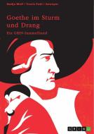 Goethe im Sturm und Drang. Motive und Sprache in Lyrik und Drama di Nadja Wolf, Travis Puhl edito da GRIN Verlag