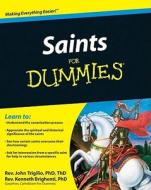 Saints For Dummies di Rev. John Trigilio, Rev. Kenneth Brighenti edito da John Wiley And Sons Ltd