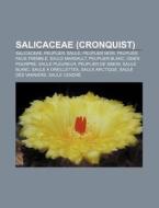 Salicaceae Cronquist : Salicaceae, Peup di Source Wikipedia edito da Books LLC, Wiki Series