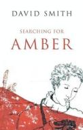 Searching For Amber di David Smith edito da Troubador Publishing Ltd