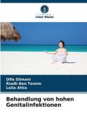 Behandlung von hohen Genitalinfektionen di Olfa Slimani, Riadh Ben Temim, Leila Attia edito da Verlag Unser Wissen