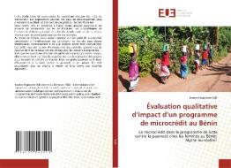 Évaluation qualitative d'impact d'un programme de microcrédit au Bénin di Joanes Hippolyte Sylli edito da Éditions universitaires européennes