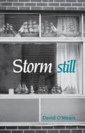 Storm Still di David O'Meara edito da Carleton University Press,Canada