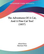 The Adventures Of A Cat, And A Fine Cat Too! (1857) di Alfred Elwes edito da Kessinger Publishing Co