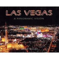 A Panoramic Vision di David Miller edito da Compendium Publishing