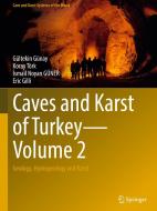 Caves and Karst of Turkey - Volume 2 di Gültekin Günay, Eric Gilli, Ismail Noyan Güner, Koray Törk edito da Springer International Publishing