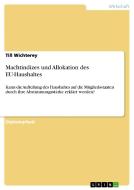 Machtindizes und Allokation des EU-Haushaltes di Till Wichterey edito da GRIN Publishing