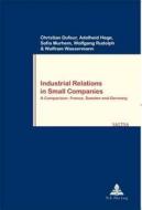 Industrial Relations in Small Companies di Christian Dufour, Adelheid Hege, Sofia Murhem, Wolfgang Rudolph, Wolfram Wassermann edito da P.I.E.