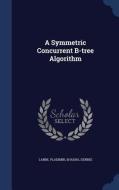 A Symmetric Concurrent B-tree Algorithm di Vladimir Lanin, Professor of Computer Science Dennis Shasha edito da Sagwan Press