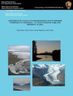 Assessment of Coastal Water Resources and Watershed Conditons at Wrangell-St. Elias National Park and Preserve, Alaska di Eran Hood, Ginny Eckert, Sonia Nagorski edito da Createspace