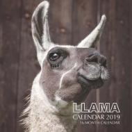 Llama Calendar 2019: 16 Month Calendar di Mason Landon edito da LIGHTNING SOURCE INC