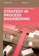 Strategy in Process Engineering di Jordi Bonet, Alexandra-Elena Bonet Ruiz edito da Gruyter, Walter de GmbH