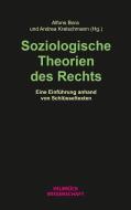 Soziologische Theorien des Rechts edito da Velbrueck GmbH