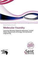 Molecular Foundry edito da Sent Publishing